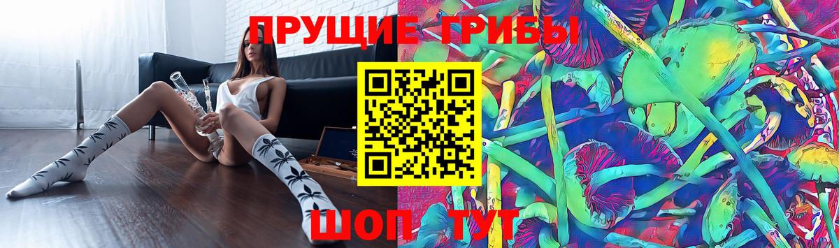 Псилоцибиновые грибы GOLDEN TEACHER Аша